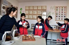 “千年药都”河北安国：